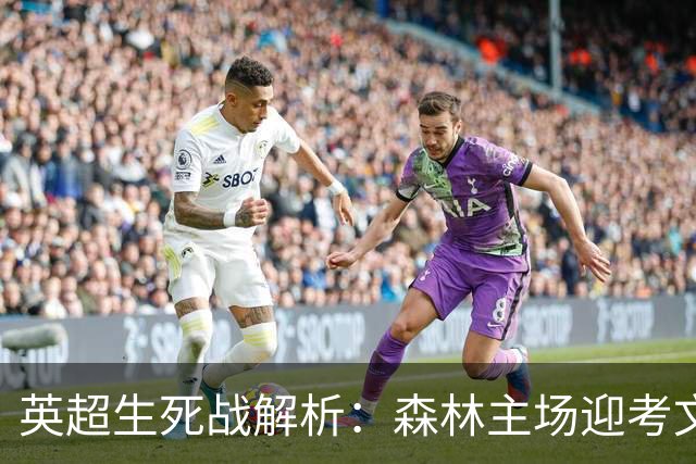 英超生死战解析：森林主场迎考文垂，积分差距下的战术博弈